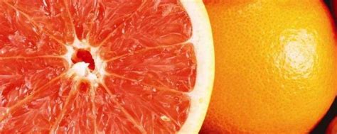 怎样区分西柚还是橙子 - 业百科