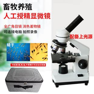 凤凰BMC303 专业三目光学生物显微镜 1600倍 水产科研 高清摄像头-淘宝网