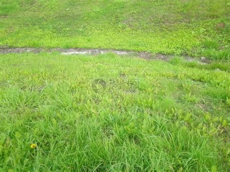 有绿草和排水的混凝土沟的空地高清图片下载-正版图片504324729-摄图网
