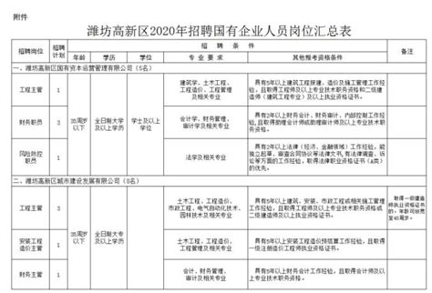 潍坊高新区2021年公开招聘聘任制人员公告
