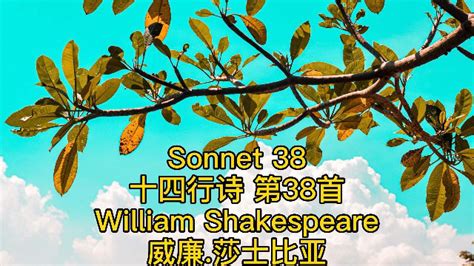 莎士比亚十四行诗集 - [英] 威廉·莎士比亚 | 豆瓣阅读