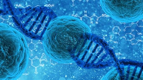 DNA复制的起始机制 - 知乎