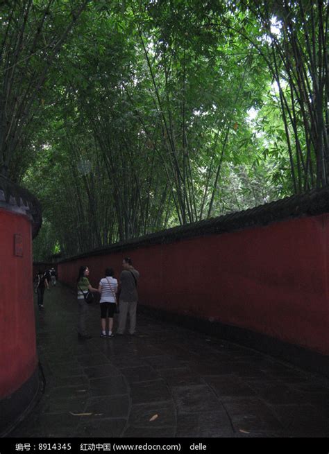 翠竹沾雪倚红墙 北京雪景演绎国风惊艳之美-图片-中国天气网