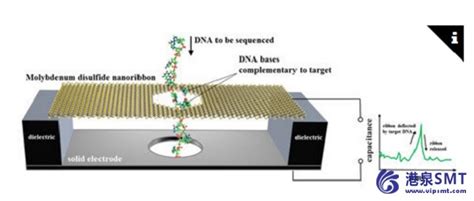 NIST 团队表明纳米电子运动传感器作为 DNA 测序仪_港泉SMT