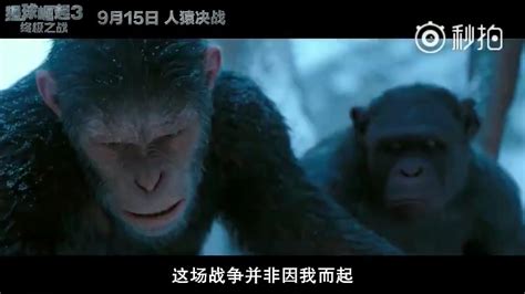 《猩球崛起：黎明之战》：你是猴子请来的救兵吗_久久电影吧（film-8.com）—国内最有特色的影评网!易记网址：jjdyb.cn,jjdyb.com