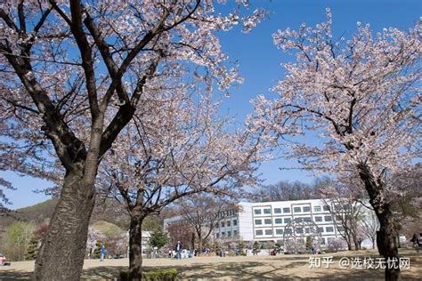 韩国嘉泉大学是野鸡大学吗？（韩国留学）|韩国留学-韩国留学条件|费用|申请-芥末留学