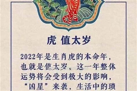 2022年属虎的男孩取名 精选100个好名(今日更新中) - 宝宝起名