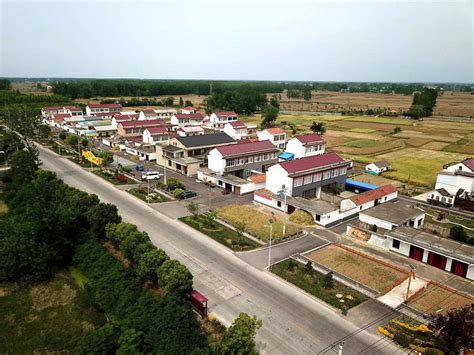 淮南寿县：农业提质增效 助力乡村振兴