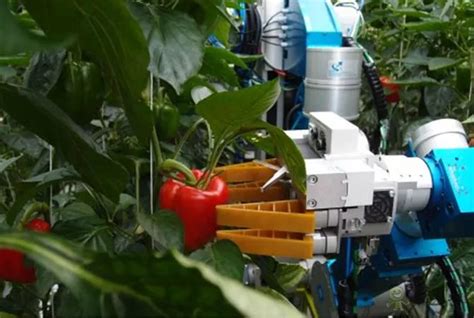 出现次数最多的农业机械化,先进的机械设备。 深圳市德米吉机械设备有限公司发布出现次数最多的农业机械化,先进的机械设备。资讯信息