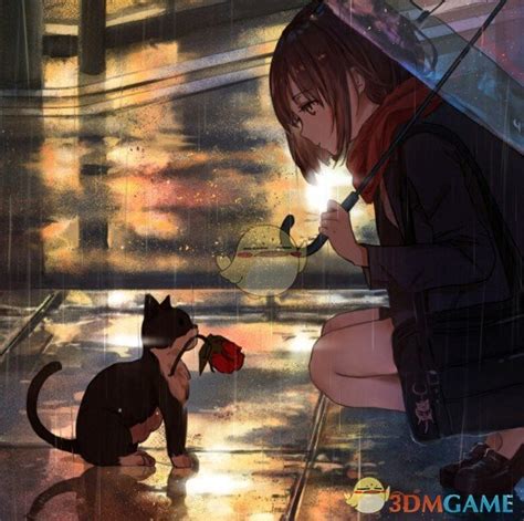 雨中少女和猫撑伞动漫雨中撑伞的黑发女孩动漫2022已更新今日动态