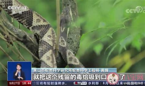小心！8月有48人被蛇咬伤！在深圳这些地方最容易被咬_深圳新闻网
