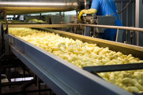 食品加工厂高清图片下载-正版图片600009926-摄图网
