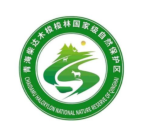 青海省地理空间和自然资源大数据中心logo征集结果的公示-设计揭晓-设计大赛网