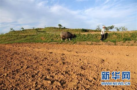 千湖之省遭遇世纪大旱巨痛 50万人饮水成难题[图]-杭州热线