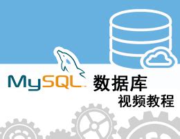 MySQL数据库实用教程 赵明渊