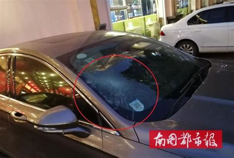 是谁动的手？一车辆挡风玻璃被砸，车旁有个椰子……