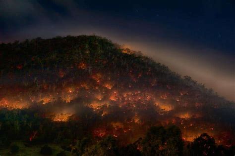 澳大利亚山火肆虐4个月，一波“网红”照片被指不实