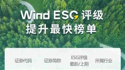 岳阳林纸荣登Wind2022年度A股上市公司ESG评级提升最快榜单|岳阳林纸|评级|榜单_新浪新闻