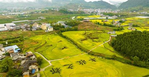 丰都县2021年生态环境质量状况新闻发布会_丰都县人民政府