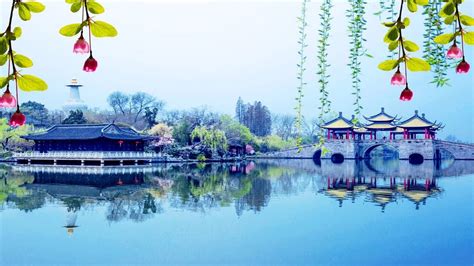 烟花三月下扬州，雨天漫步瘦西湖，烟波浩渺，繁花似锦