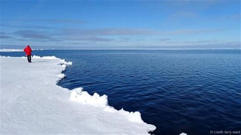 如何看待最近北极圈内出现 30 ℃ 以上的高温？ - 知乎