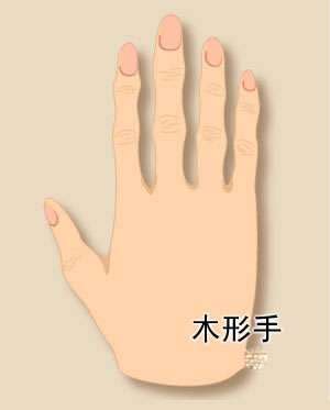 人的手型可以分为几种类型（人的手型有几种）-紫微星座网