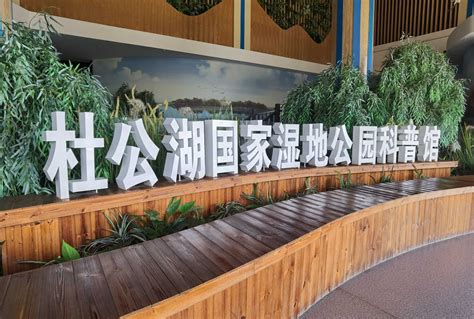 喜迎二十大，环杜公湖“绿色骑行”-武汉绿色江城