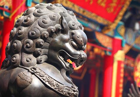 北京留存的元代石狮造型独特：顽皮、塌腰、踩银锭_狮子_白塔寺_花纹