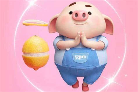 2019年猪年宝宝起名小技巧 猪年出生的男宝宝取名 _八宝网