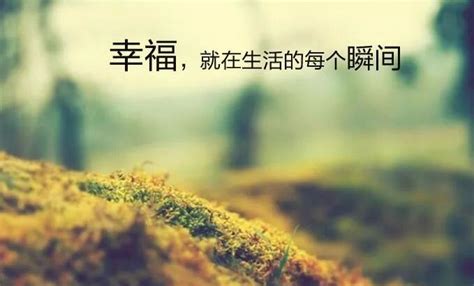 感慨的图片