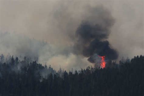 加拿大西部大火持续肆虐 已烧毁超百万公顷森林|火灾|大火|森林_新浪新闻