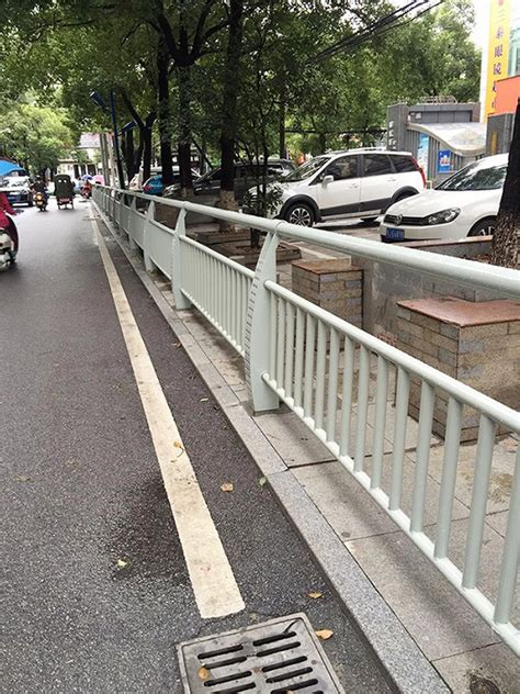 河南省 -洛阳市牡丹花人行护栏 - 案例展示 - 重庆正道护栏有限公司