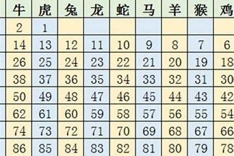 2023年十二生肖号码表_财运_若朴堂文化