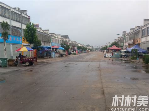 河南睢县：沃野千里-人民图片网