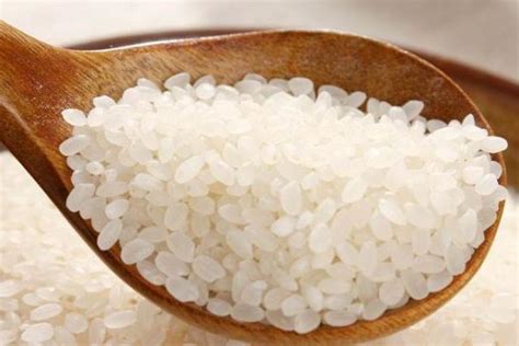 柬埔寨香米和泰国香米哪个好吃？我们现在吃的大米是杂交水稻吗？ - 惠农网