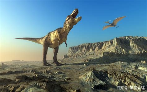 《侏罗纪世界3》上映，河北地质大学恐龙博物馆带你探秘恐龙世界_化石_天镇_电影