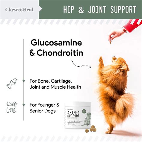 Buy Chew + Heal All in 1 Dog Vitamin - 60 Soft Chew Treats - Chewable ...