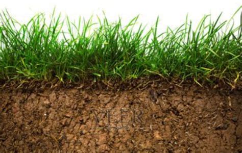 如何让板结的土壤疏松透气 - 土壤改良 - 新农资360网|土壤改良|果树种植|蔬菜种植|种植示范田|品牌展播|农资微专栏