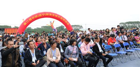 第二届中国（南宁）鲜食玉米大会在广西南宁西乡塘区隆重召开_要闻_资讯_种业商务网