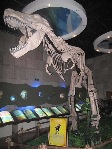诸城恐龙国家地质公园：世界最大恐龙化石埋藏地 - 化石网