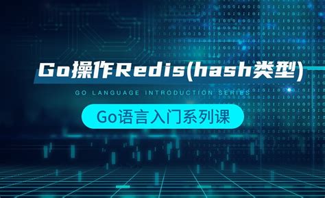 Go操作Redis(hash类型)-韩顺平Go语言入门 - 编程开发教程_Go语言 - 虎课网