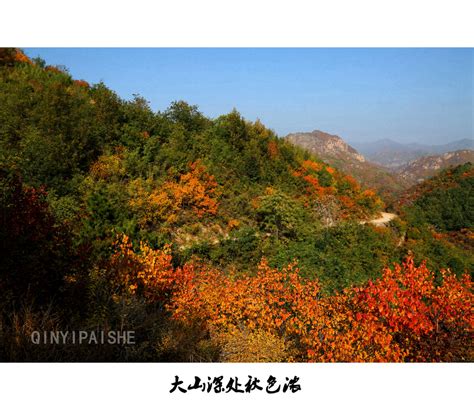 山中深处的秋天森高清图片下载-正版图片504327026-摄图网
