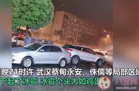 武汉龙卷风已致8人遇难230人受伤_京报网