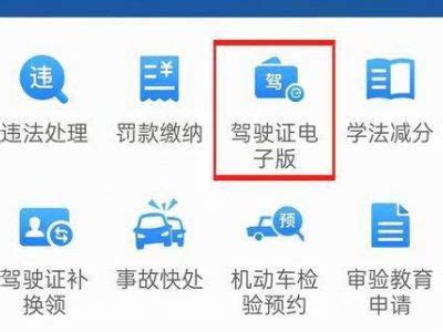 台州驾驶证个人信息单如何查询和打印？- 台州本地宝