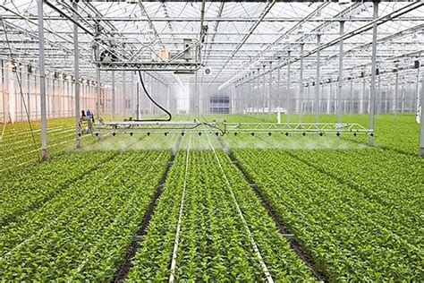 智慧农业推动农业产业升级与展望-南京及时雨农业科技有限公司