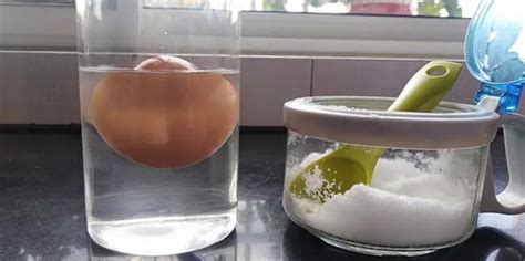 鸡蛋浮起来的实验过程（在家做个化学小实验——鸡蛋上浮） | 说明书网