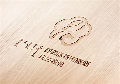 呼和浩特春季服装品牌IP设计公司 服务为先 杭州逆思维创意设计供应