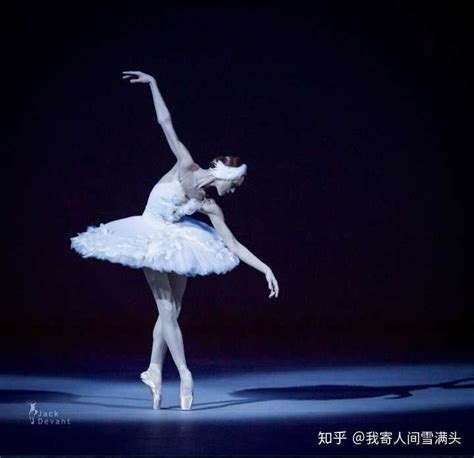 创意舞蹈芭蕾舞宣传海报图片_海报_编号10863391_红动中国