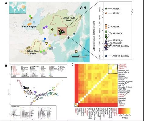 解锁冰河时代东亚人群遗传图谱和适应性基因演化----中国科学院古脊椎动物与古人类研究所