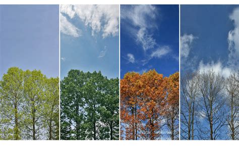 树的四季----中国科学院生态环境研究中心图片库